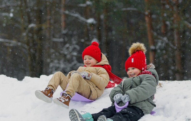 Carnaval d'hiver 2025